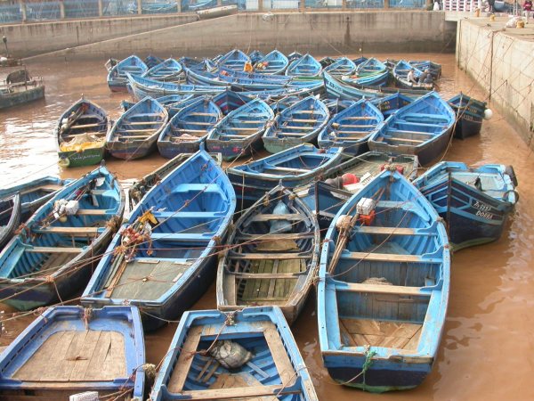 Essaouira. Barques al port