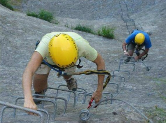Curs de vies Ferrades 2012