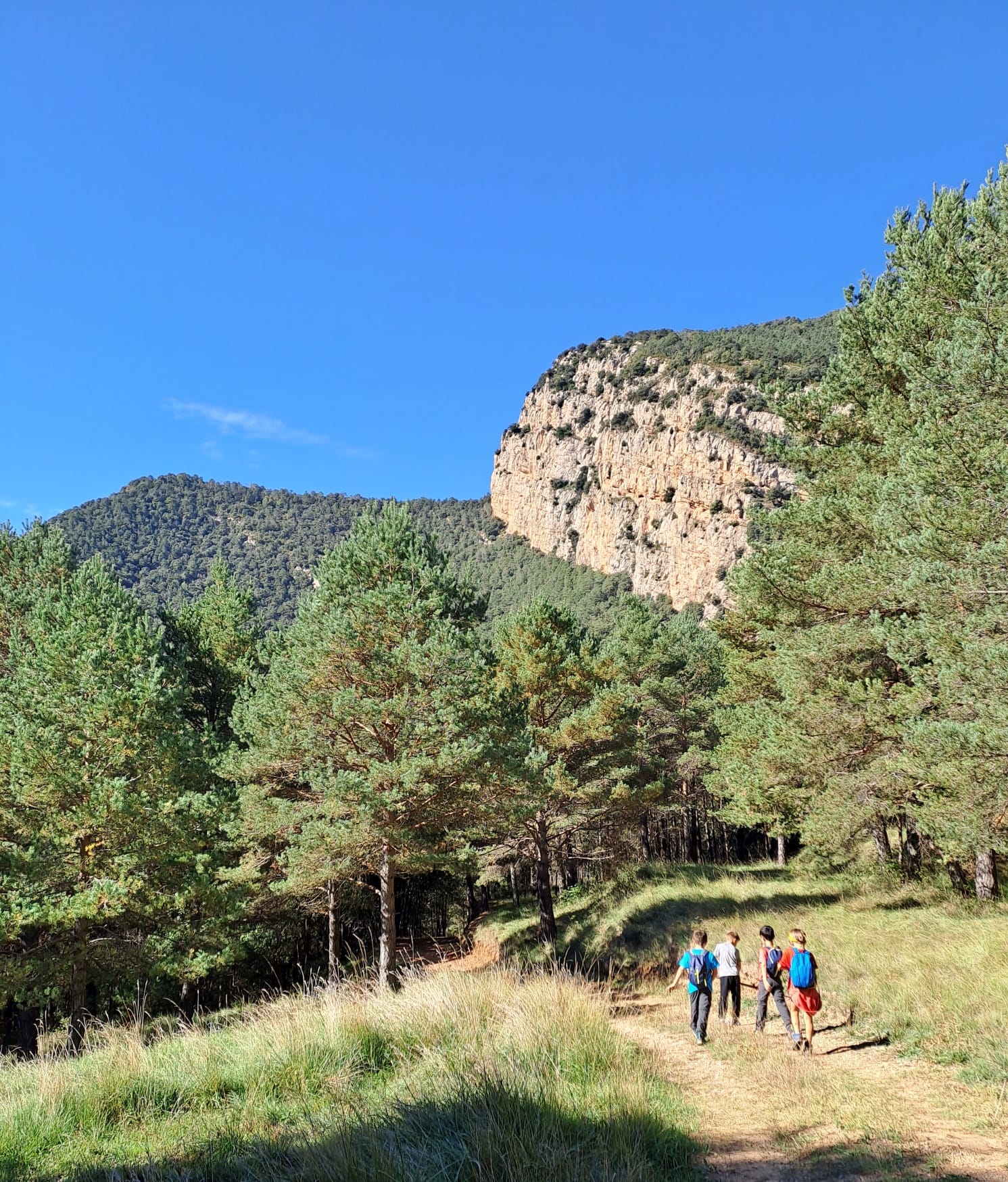 Ressenya de la 2ona sortida familiar al Castell del Roset