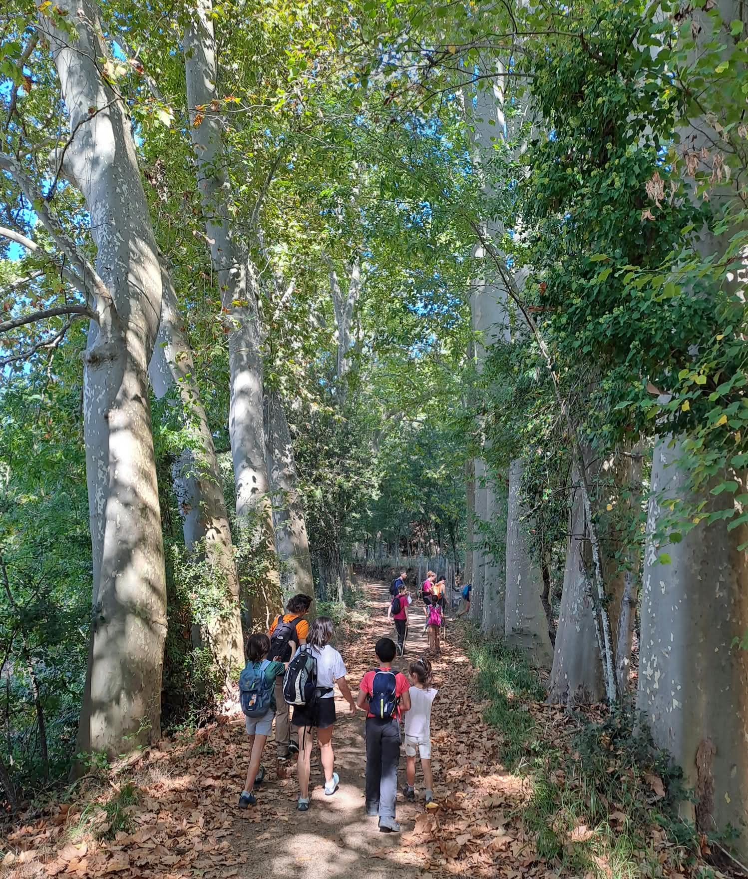 Inici del cicle d’excursions familiars 2026-27 a Vallgorguina
