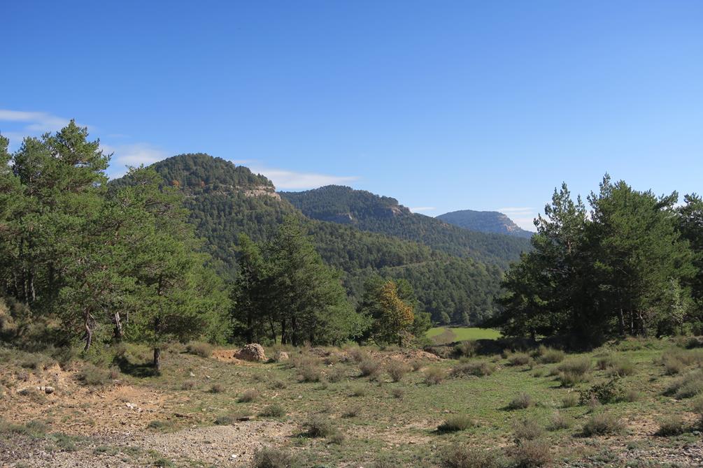 La Serra dels Tossals.